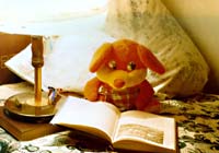 Оранжевый в 2004 г.