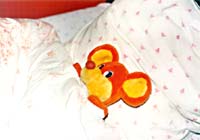 Оранжевый в 2002г.